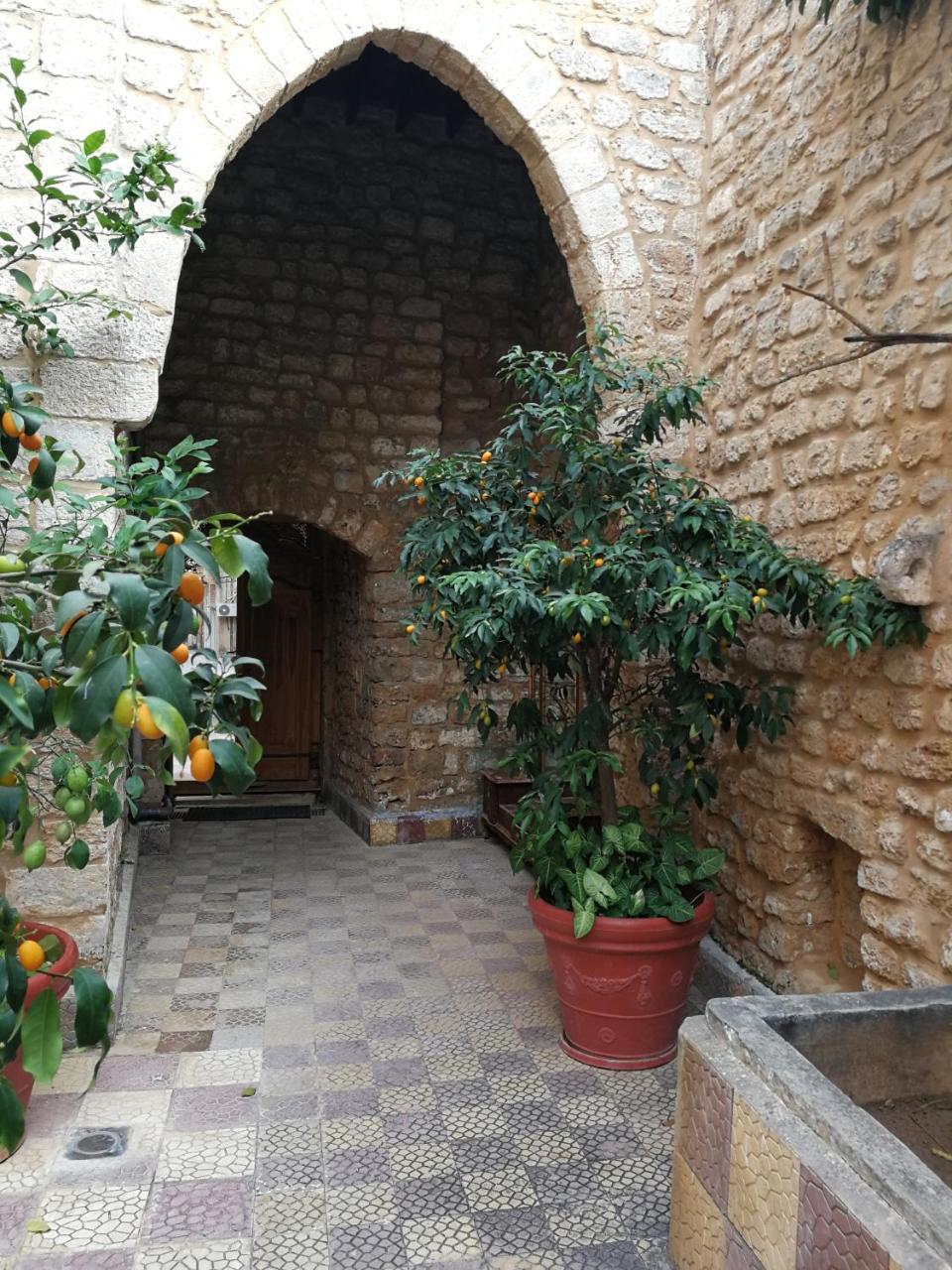 Bed and Breakfast Dar Camelia Тир Экстерьер фото